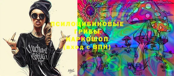 МДПВ Армянск