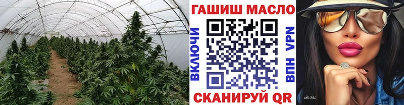 Дистиллят ТГК THC oil  Купить закладки  Верея 