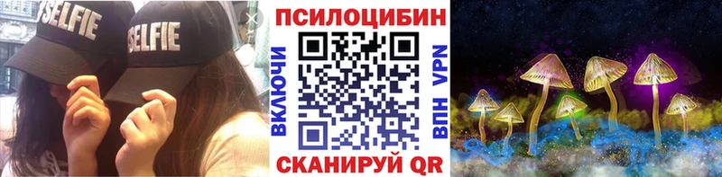 Псилоцибиновые грибы Psilocybine cubensis Верея