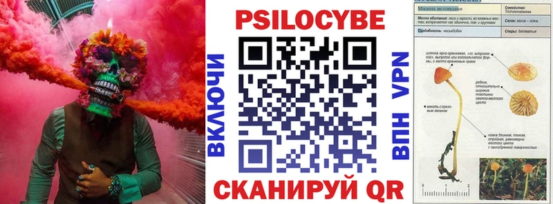Купить где  Верея  Галлюциногенные грибы прущие грибы 